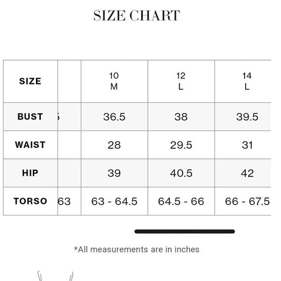 Vince Camuto Convertible High Waist Bikini Bottom NWT Size L - Picture 3 of 4